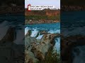 “जिस जगह सुकून मिला था, वहीं मिली दर्द की खबर | Bargi Dam Accident” #bargidam #jabalpur