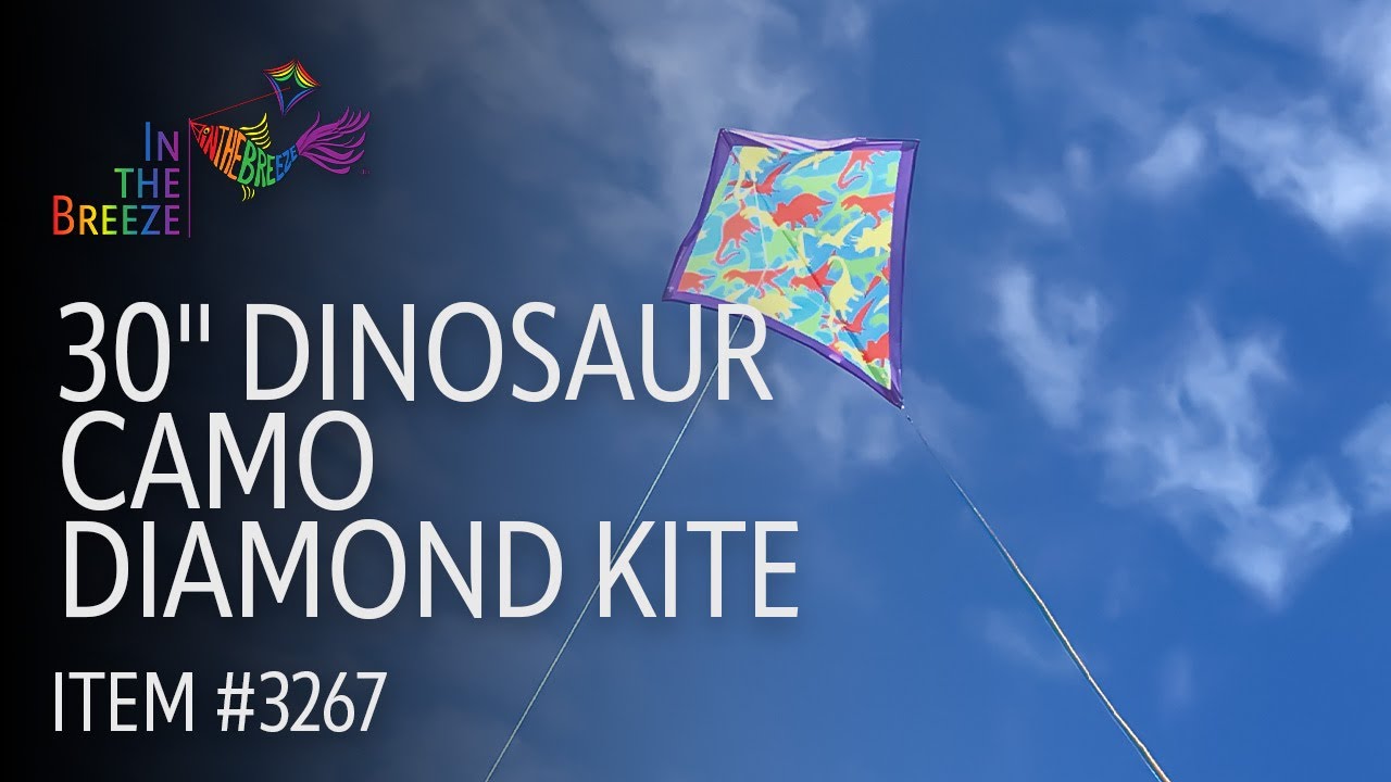 30" Dinosaur Camo Diamond Kite - In the Breeze