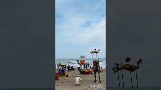 🕉️✨🌸#gujarat #somnath #divine #peace #rejuvenation #ytshorts #yt #live #love #laugh #blessed #happy