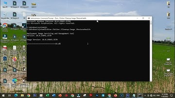Cannot Import File: The Specified File Is Not a Registry Script [ Solution ] 2023