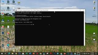Celebrity Cannot Import File: The Specified File Is Not a Registry Script [ Solution ] 2023 Profile