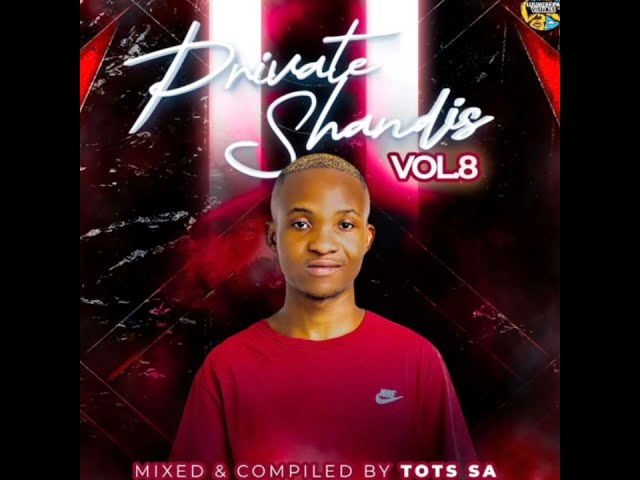 Private Shandis Vol 08 Mixed u0026 Compiled By Tots SA class=