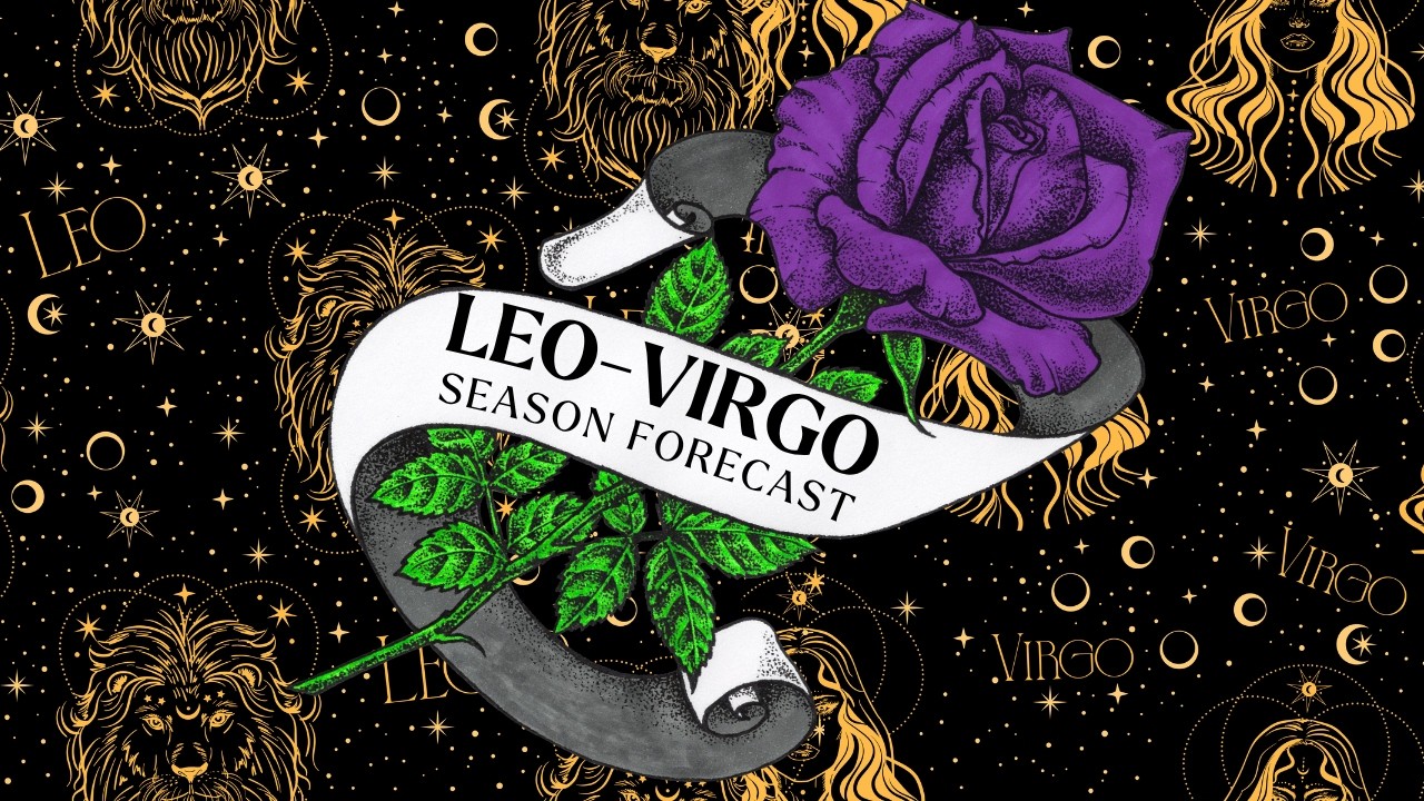 leo virgo cusp 𖧷 leo season forecast 𖧷 timeless tarot reading 🌹