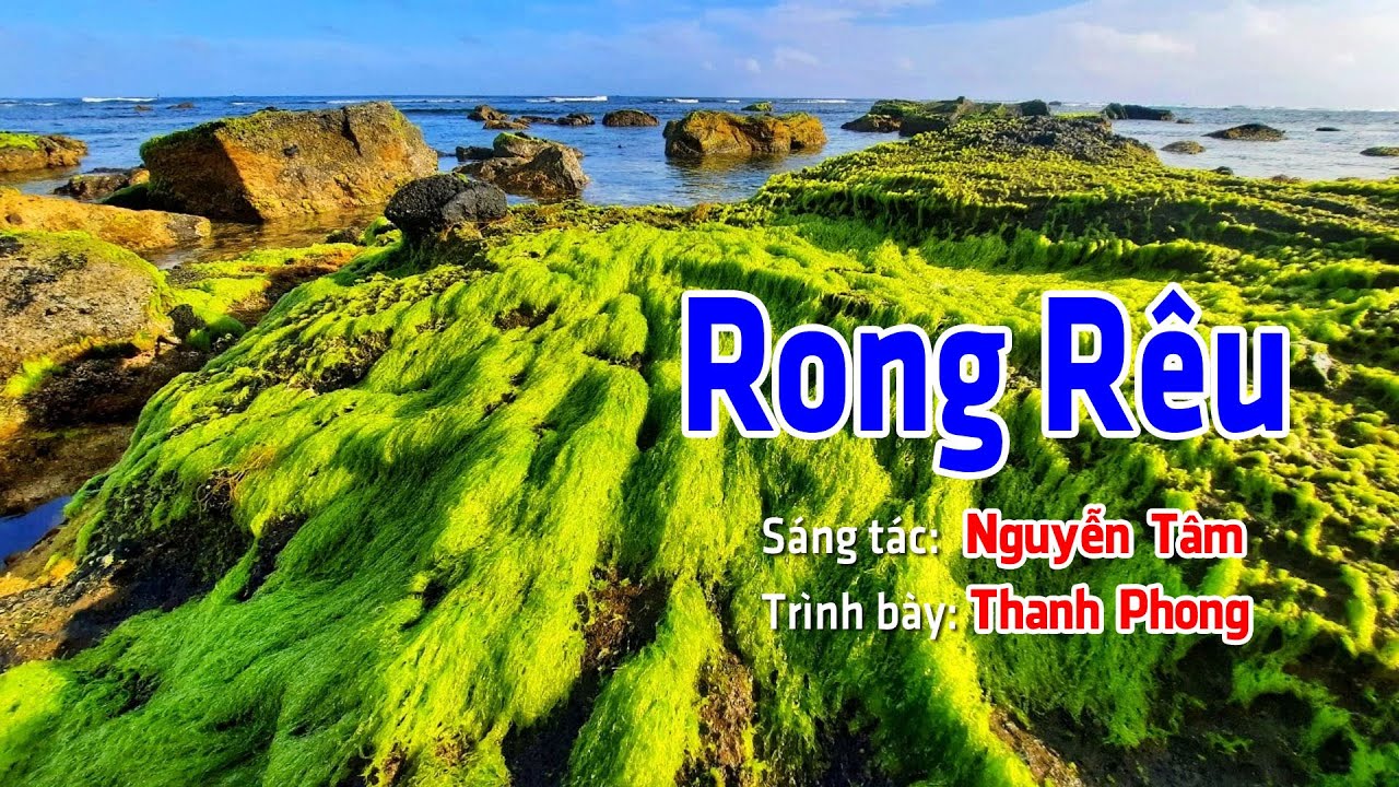 Rong Rêu (ST. Nguyễn Tâm) - YouTube