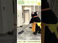 モップ掃除をする大きい猫(諭吉) #Short