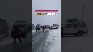 Snowfall at ZULUK, Silk Route at East Sikkim | Jan 2024 #travelgangtok  #visitsikkim #northeastindia