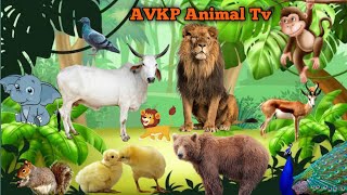 Funny Animal Moments🦥🦜🐈Duck, Cat, Dog, Elephant, Monky, Bear, Panda-Animal Sounds