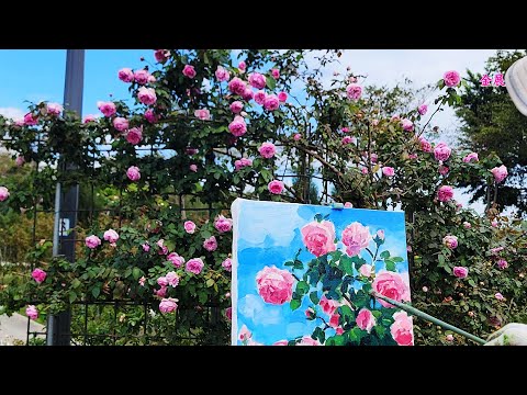 6大展區，五彩珍貴玫瑰盛開浪漫！2023臺北玫瑰展展之2 Taipei Rose Exhibition
