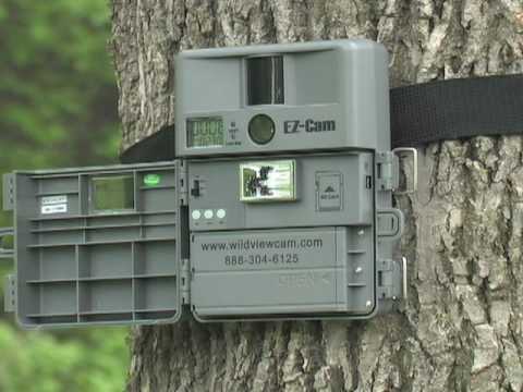 wildview trail camera