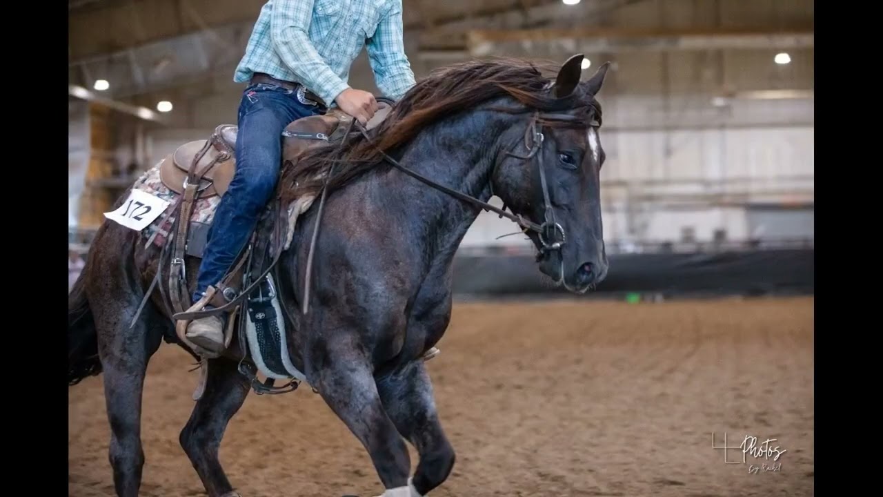 Cowboys Metallic A115 