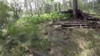 Exploring in The Green Swamp (Old Rails and Wagon)