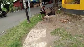 Kemuliaan hati seorang babinkanbtibmas Arifuddin pada orang tak waras