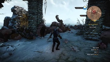 The Witcher 3: Wild Hunt 1.08 Bug