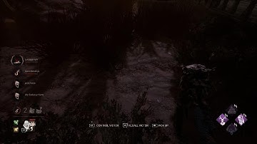 P100 TWINS - FLASHY LOBBY INTIMIDATING SWF Dead by Daylight