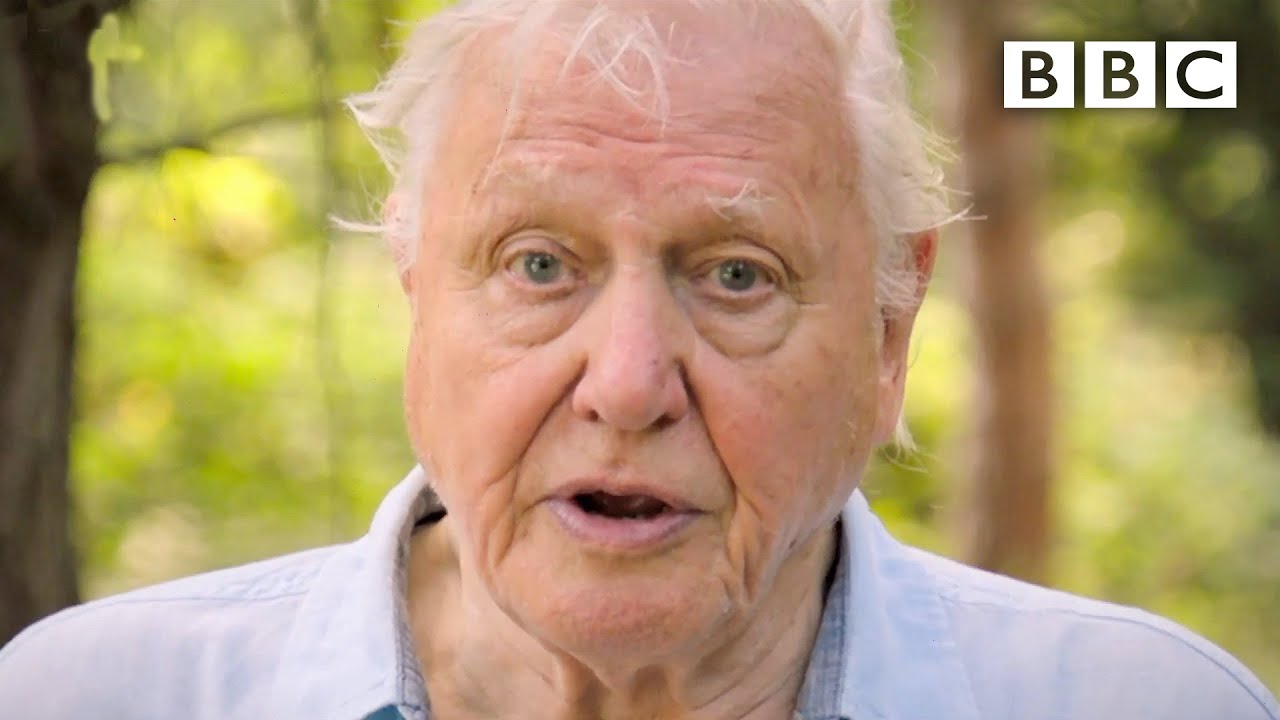 Attenborough warns leaders over extinction crisis