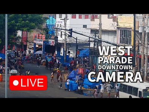 See Jamaica  live