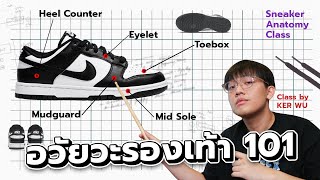 คำศัพท์เรียกส่วนต่างๆ บนรองเท้าผ้าใบ สำหรับ Sneakerhead มือใหม่ !