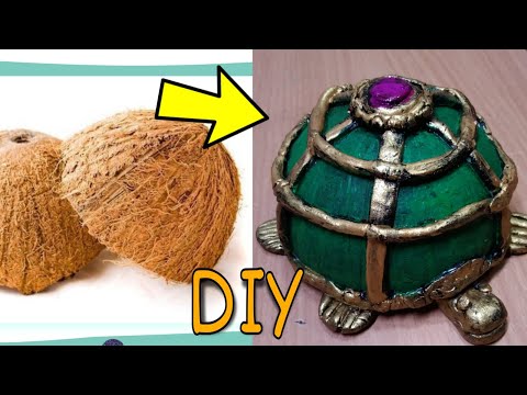 Tortoise with Coconut shell DIY