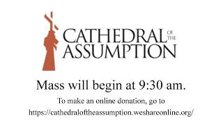Eleventh Sunday in Ordinary Time June 14, 2026 Cathedral Of The Assumption