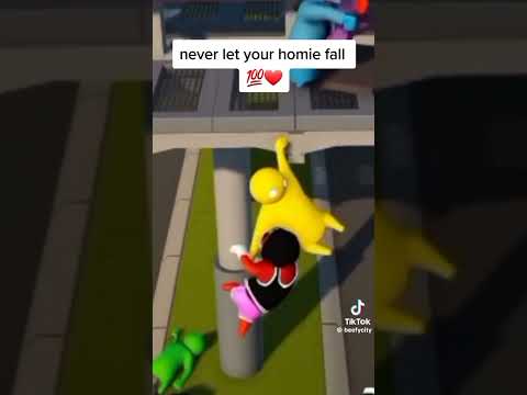 Never let a bro fall