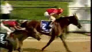 Almost  Triple Crown: 1997/1998 - Silver Charm/ Real Quiet