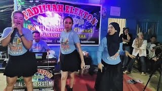 Download Lagu CIINAN BANA WITH SARINA - COVER ALBUM LAGU TOP HITS - FADILAH ELEKTON - MUSIK LULO NONSTOP 2025 MP3