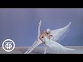 Миниатюра "Летите, голуби" в исполнении Станислава Власова и Галины Феоктистовой (1973)