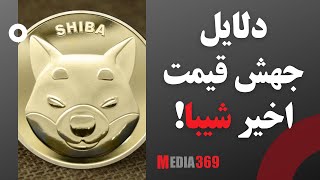 دلایل جهش قیمت اخیر شیبا Shiba Inu