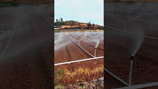 Smart Farming: Automatic Irrigation System! 💦🤩 #shorts