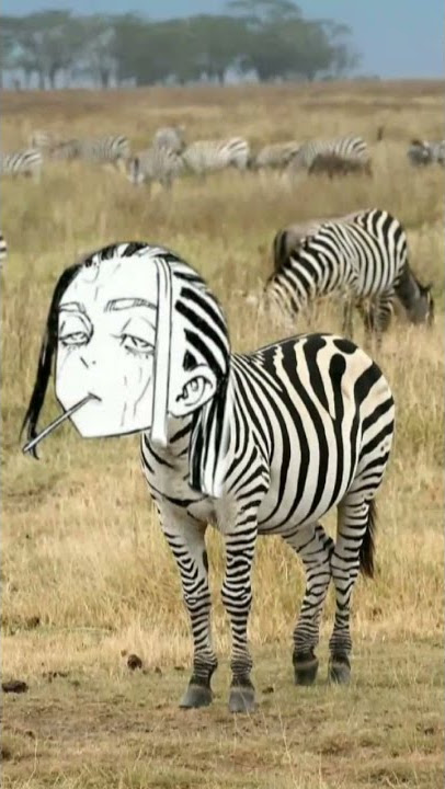 🌀 Jedag-Jedug Tokyo Revengers 🌀|| Meng-Sedih 😢