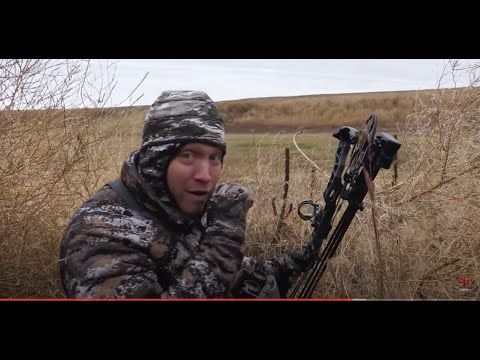 Stalking Kansas Mule Deer