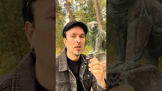 Miksi Suomen vaakunassa on leijona? ⚔️🦁 #historia #suomenhistoria #suomileijona