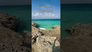 Download Lagu Looking to see some cute sea turtles in aruba!? Def check out Tres Trapi up north in Malmok, swim ou MP3