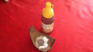 Money in Hand Sympathy! Coconut shell, coins, cotton, there is no shortage of money! screenshot 4