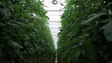 Priva Intégro 730 software update (Dutch)