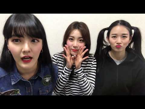 2018.01.31(풍뎅이 히스토리-PDE HISTORY)No.1