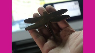 Cutting thicker leather small file on the Brother ScanNCut Jen Blausey