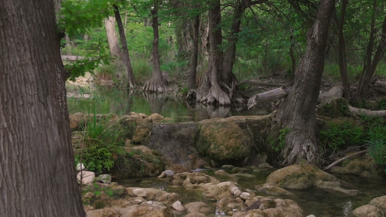 Sabinal River Ranch YouTube
