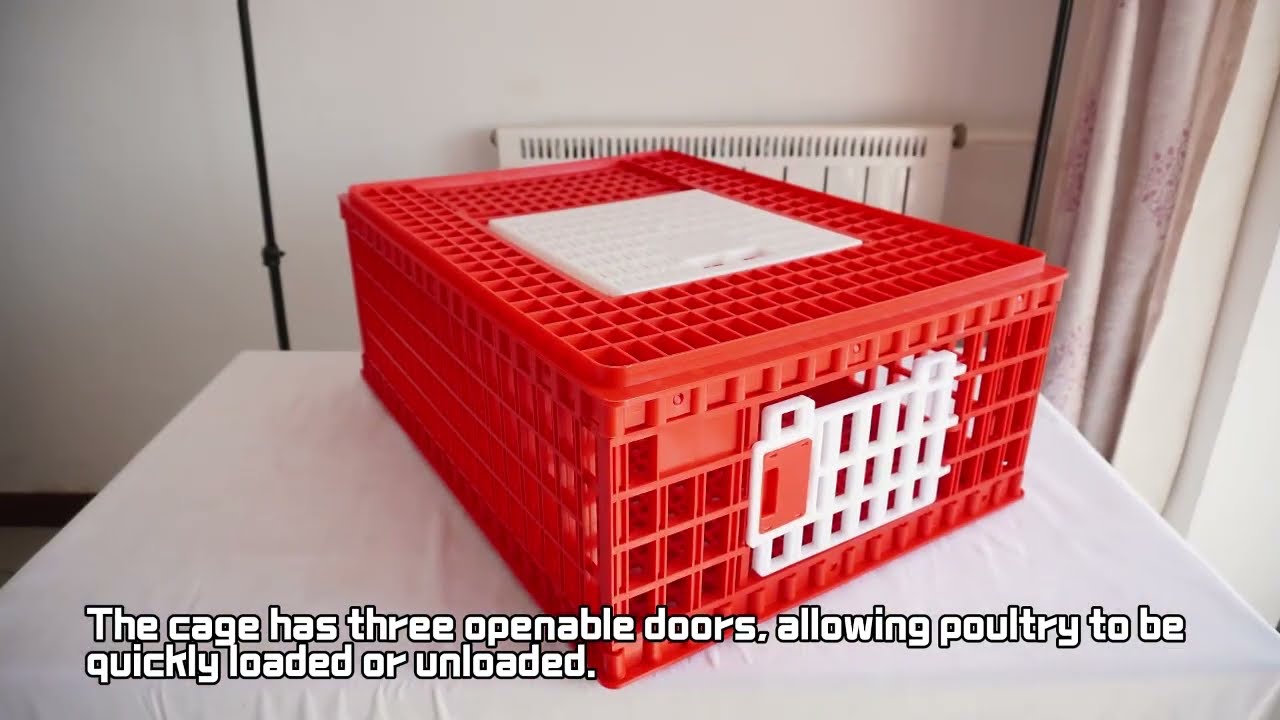 The installation of chicken transport cage