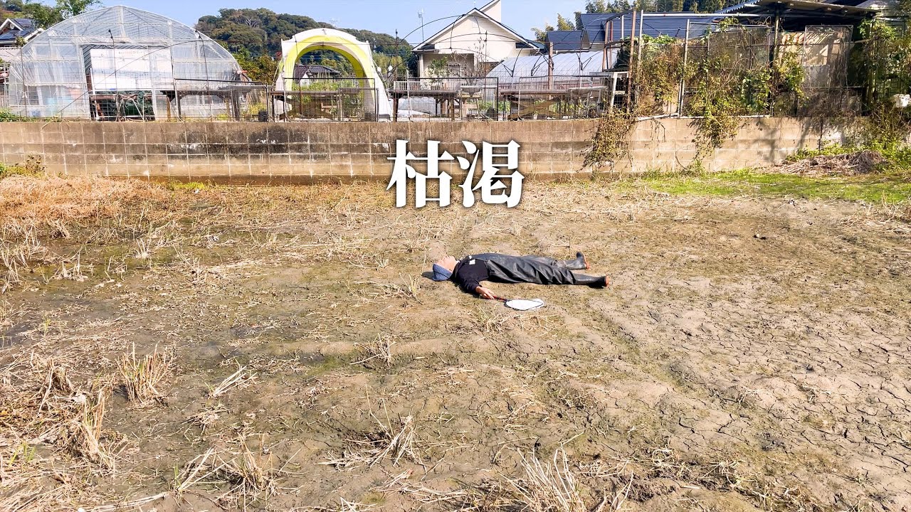 【悲劇の湿地帯】ビオトープ水源消失でどうなる？現状を全公開