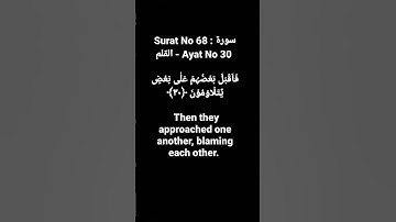 Surat No 68 : سورة القلم - Ayat No 30 #surahqalam #quranayat #shortvideo @quranpeaceofmind