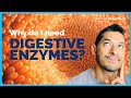 Why do i need digestive enzymes  doctor sameer islam