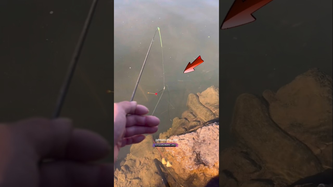 spot gacor broku mantap 