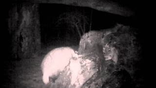 IMAG0061.AVI