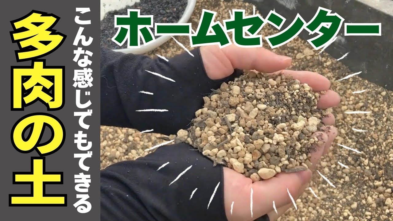 ホムセンで手軽に揃う簡単配合！土の再利用は？病気の苗の土の行方/山奥屋の想い♡【山奥屋の土徹底解説！】