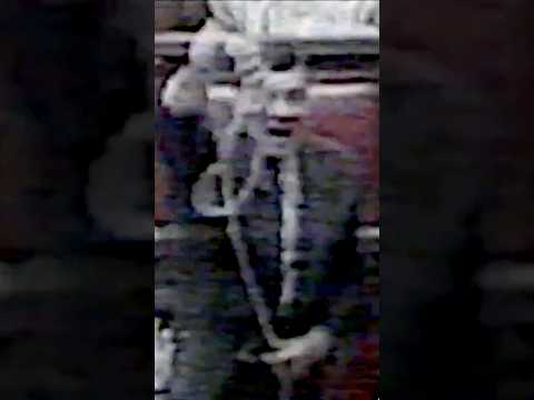 Video Roggero. Ovvero Vota me, che sono più cattivo di lui (EDITORIALE)