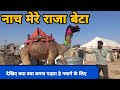 Camel dance Nagaur!! ऊंट का डांस!! Nagaur Mela 2020