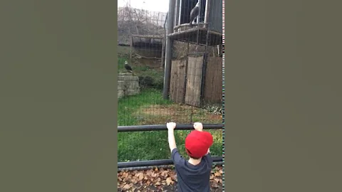 Jack singing (some version of) the Eagles Fight So...