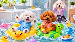Puppy Siblings’ Pool Day Turns Into CHAOS! Mom Was SHOCKED! 🐶🏊‍♂️💦😱 | Happy Paws Tunes