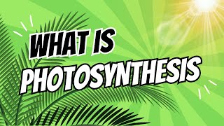 Photosynthesis EXPLAINED in ONE minute! | Science Made Easy